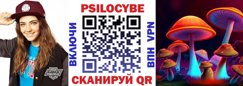 Купить закладки  Певек  Галлюциногенные грибы мухоморы 